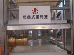 畜牧行業(yè) 客戶(hù)案例